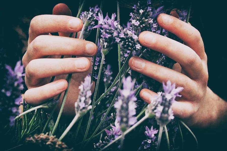 lavendel olie adhd alternatieve behandeling